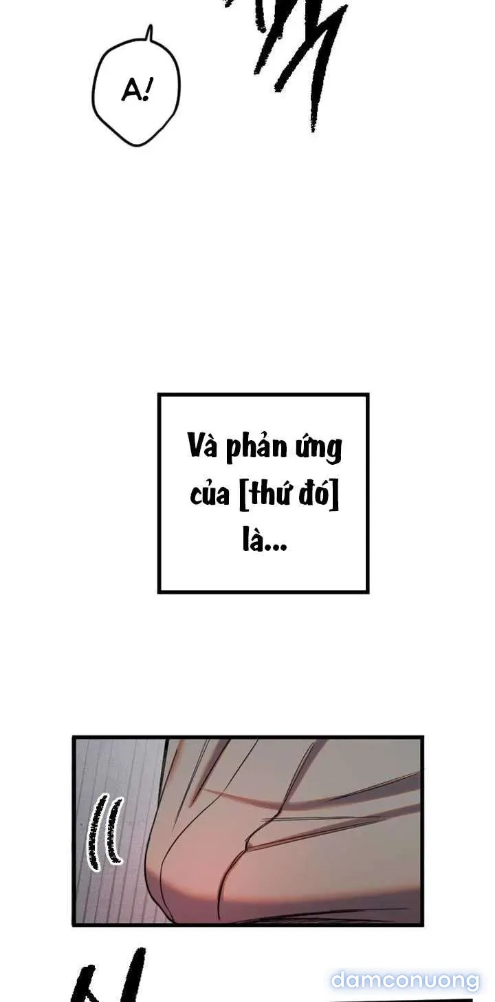 Cupid thầm lặng của tôi 