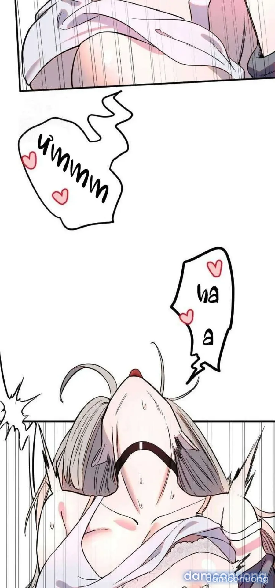 Cupid thầm lặng của tôi 