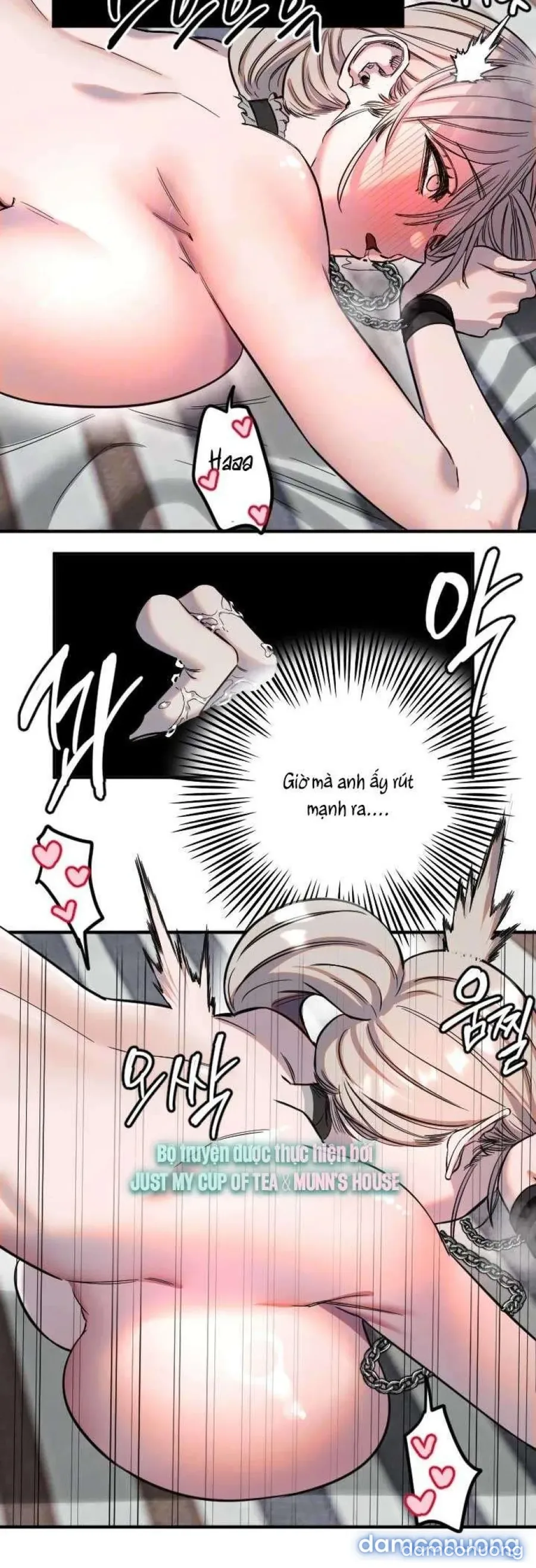 Cupid thầm lặng của tôi 