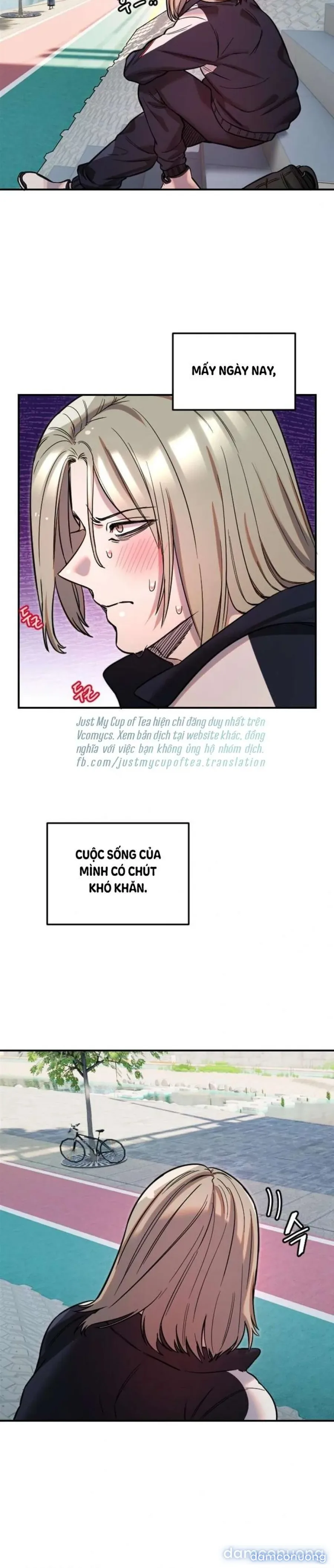 Cupid thầm lặng của tôi 