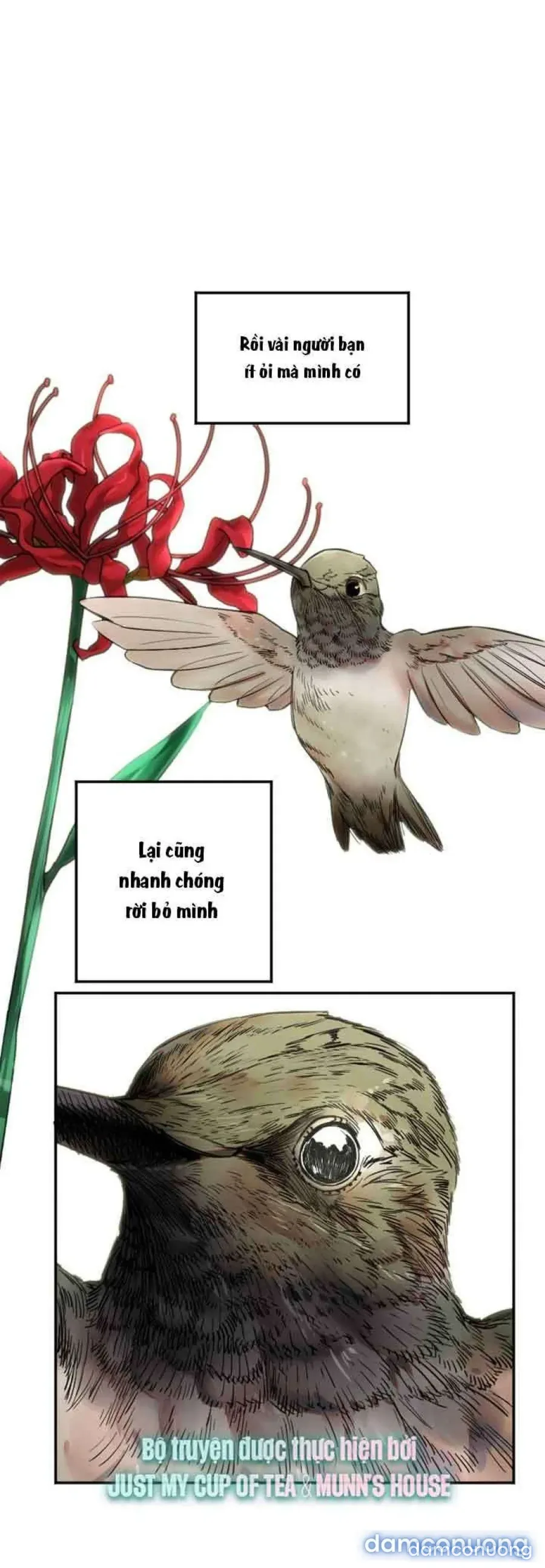 Cupid thầm lặng của tôi 