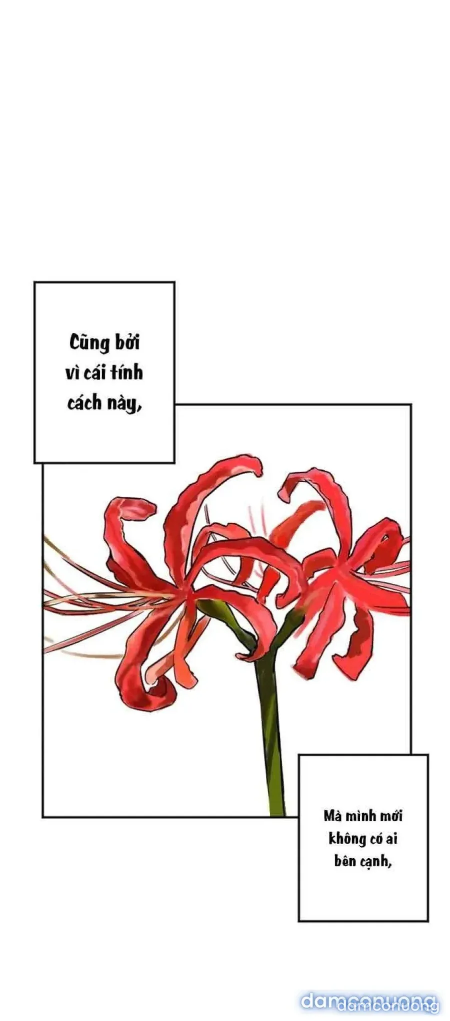 Cupid thầm lặng của tôi 