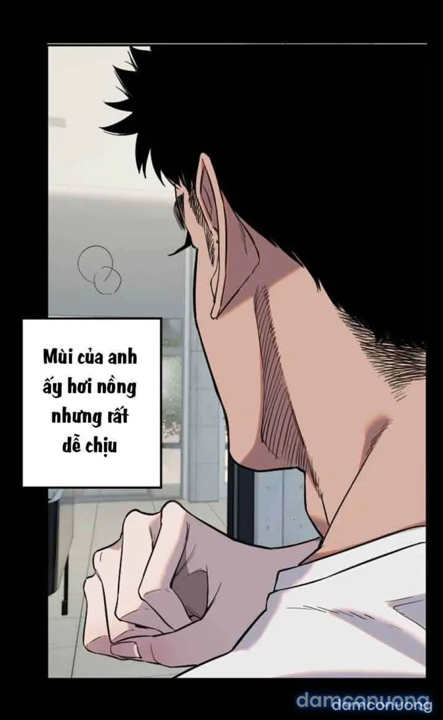 Cupid thầm lặng của tôi 