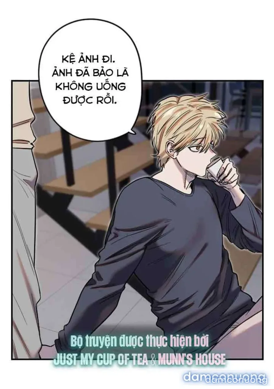 Cupid thầm lặng của tôi 