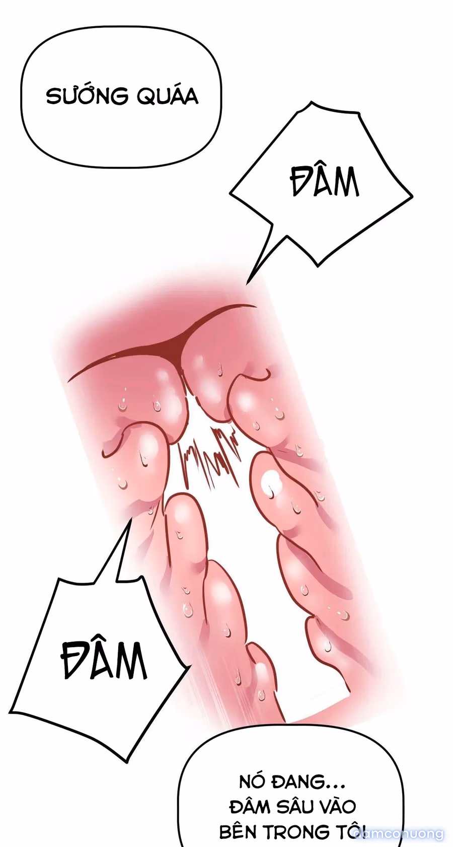 Dị Giới Không Một Bóng Đàn Ông 