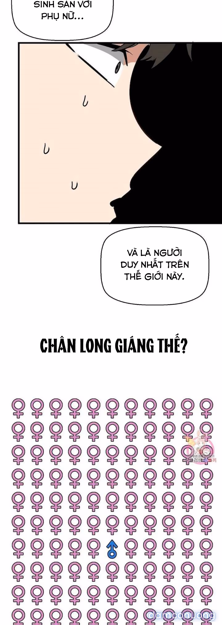 Dị Giới Không Một Bóng Đàn Ông 