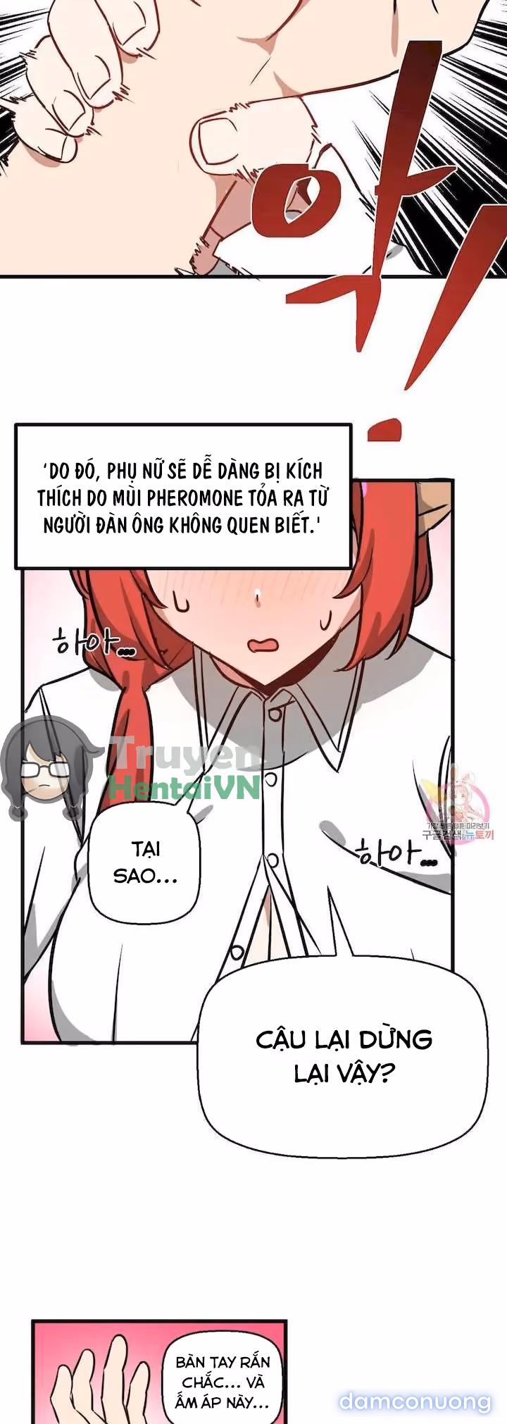 Dị Giới Không Một Bóng Đàn Ông 