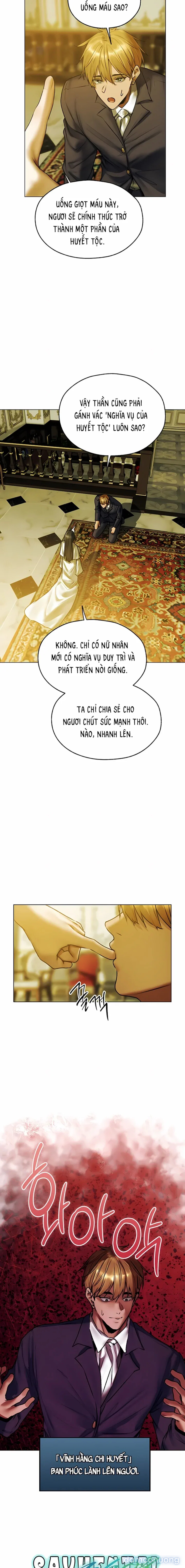 Dị Giới Và Những Quý Bà Quyến Rũ 