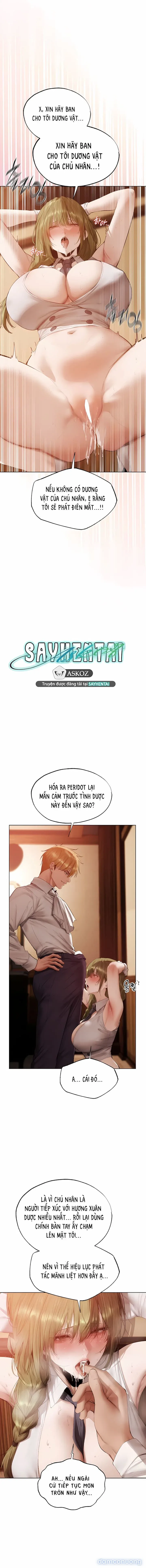 Dị Giới Và Những Quý Bà Quyến Rũ 