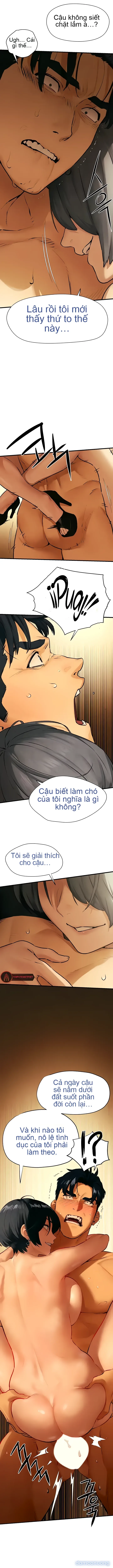 Thành Phố Ngoại Tình 