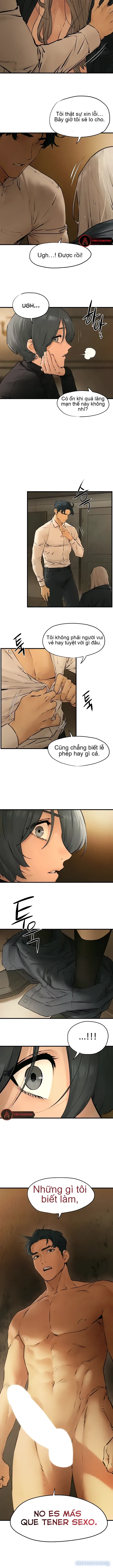 Thành Phố Ngoại Tình 