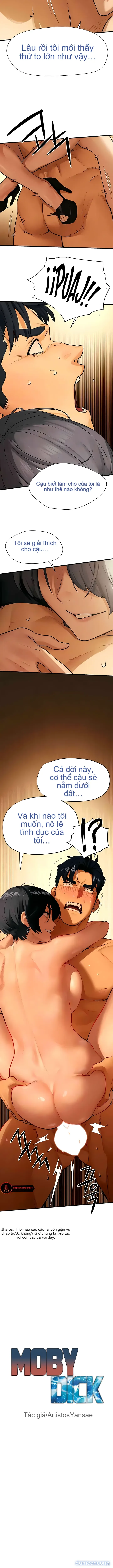 Thành Phố Ngoại Tình 