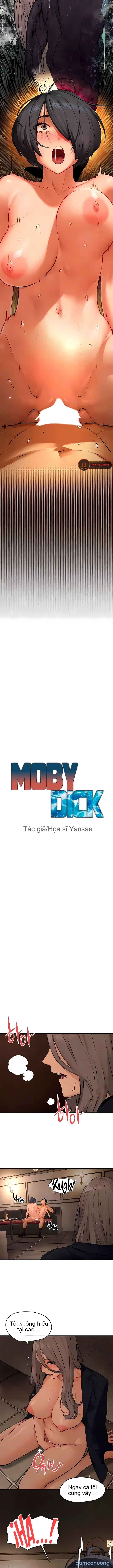 Thành Phố Ngoại Tình 