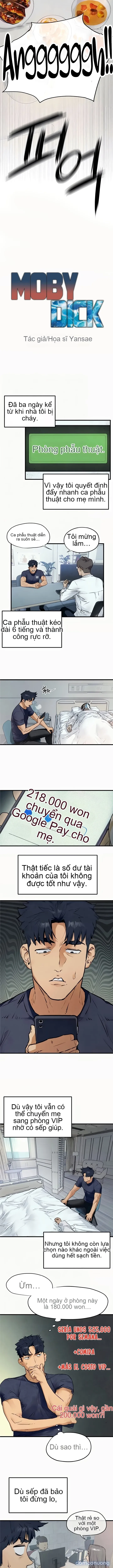 Thành Phố Ngoại Tình 