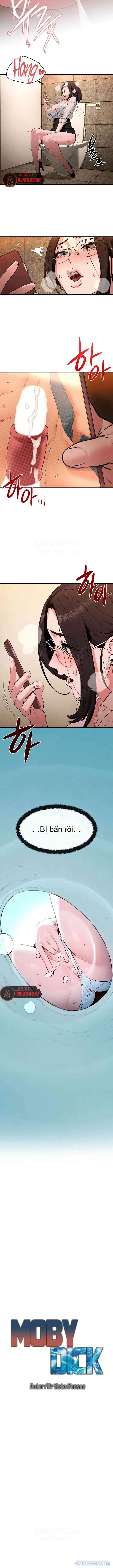 Thành Phố Ngoại Tình 