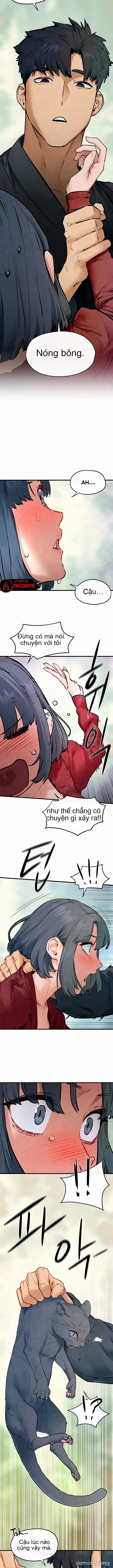 Thành Phố Ngoại Tình 