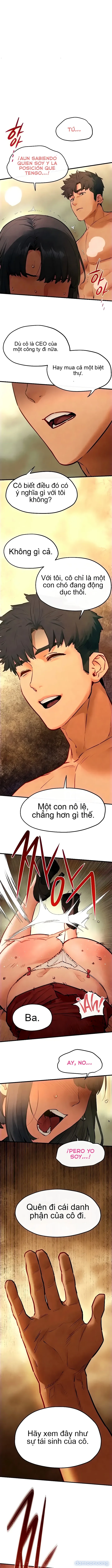 Thành Phố Ngoại Tình 