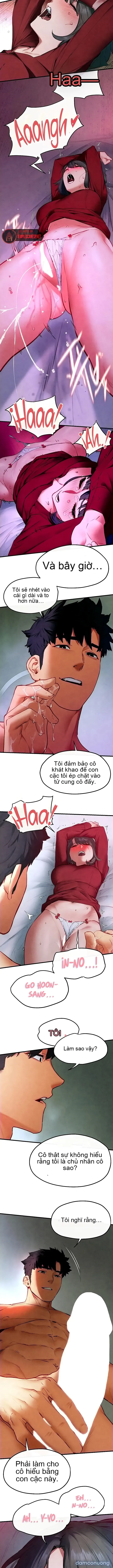 Thành Phố Ngoại Tình 