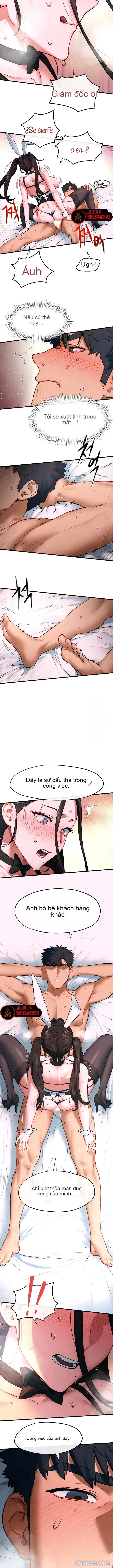 Thành Phố Ngoại Tình 