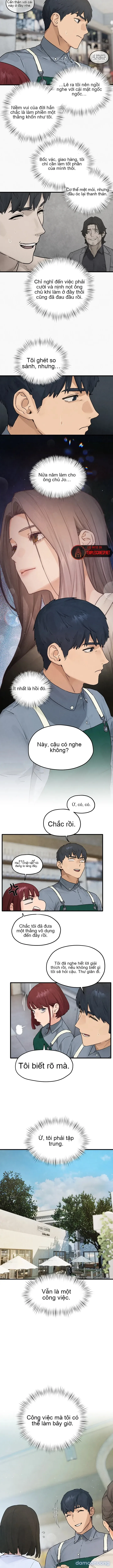 Thành Phố Ngoại Tình 