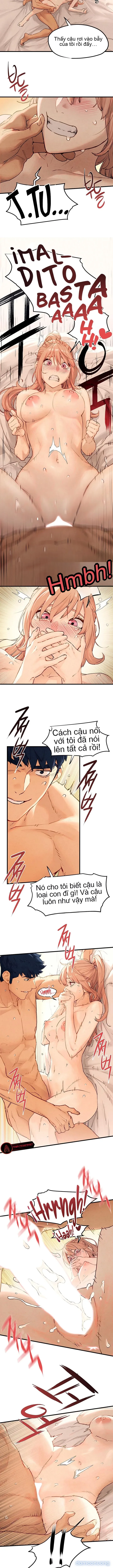 Thành Phố Ngoại Tình 