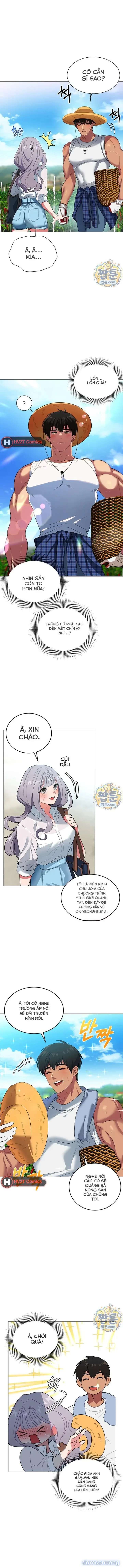 Ớt Cay Cháy Hàng 