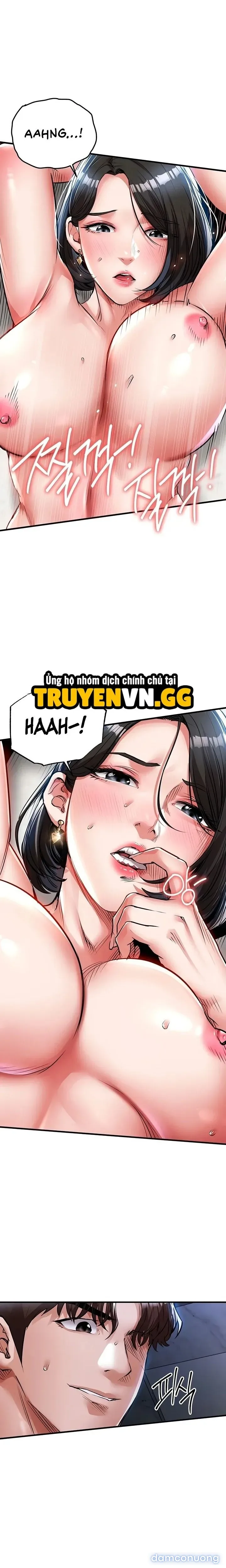 Ngày trở về huy hoàng 