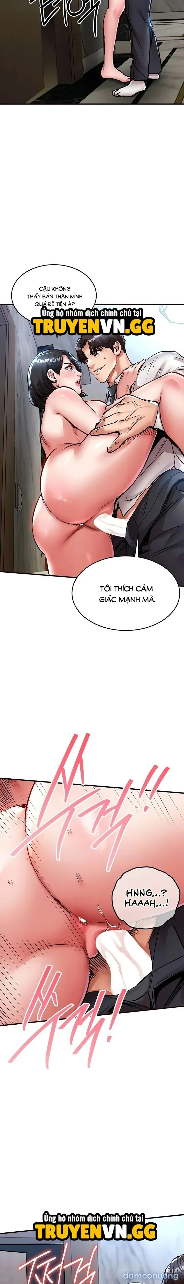 Ngày trở về huy hoàng 