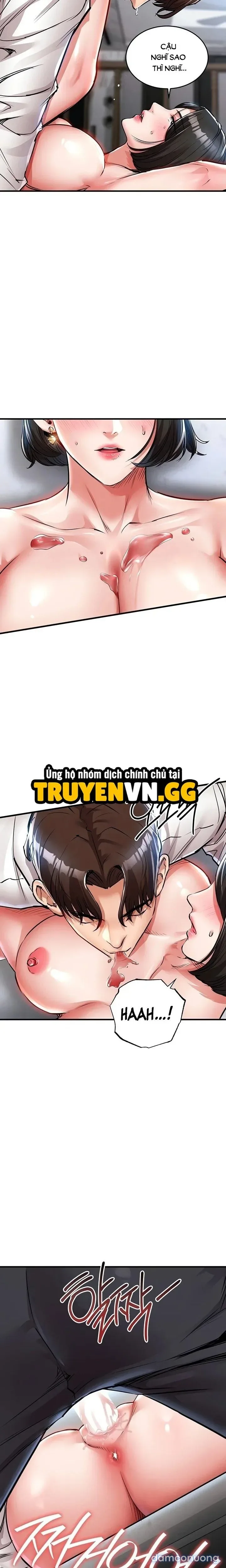Ngày trở về huy hoàng 