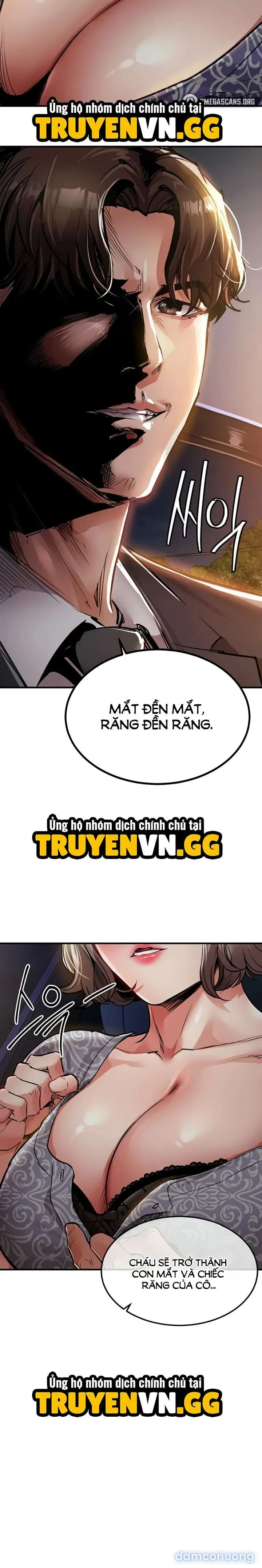 Ngày trở về huy hoàng 
