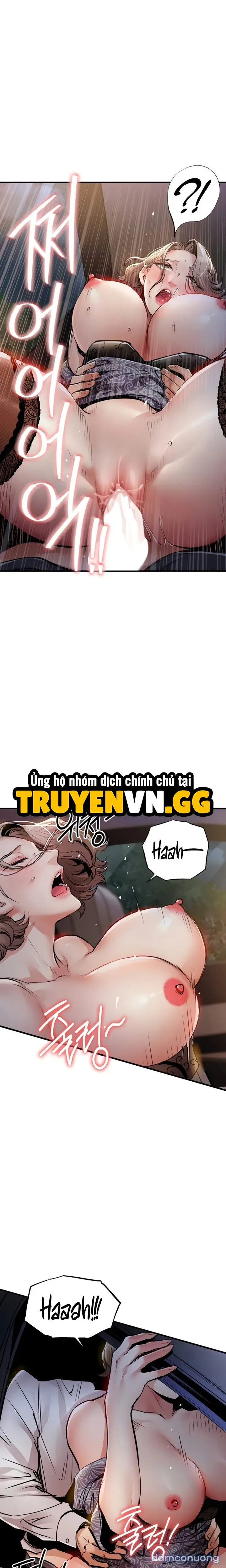 Ngày trở về huy hoàng 