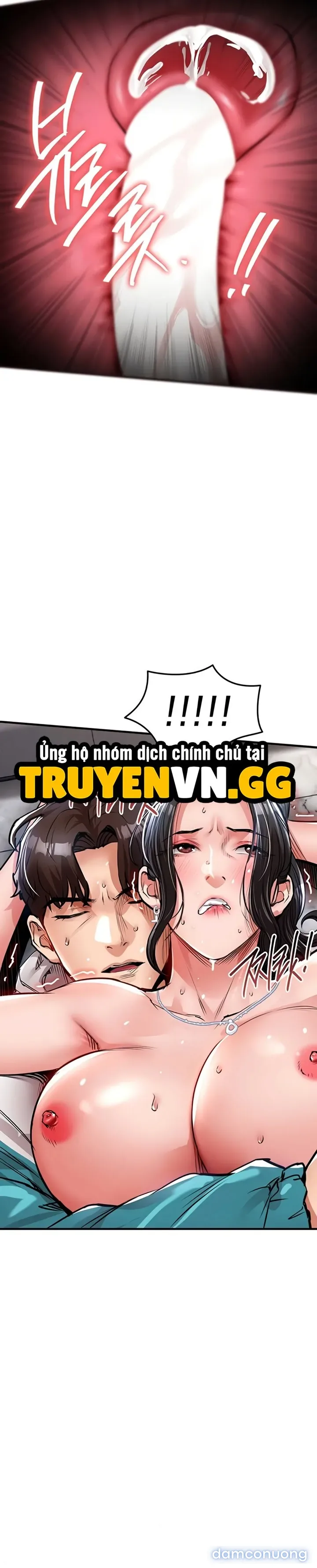 Ngày trở về huy hoàng 