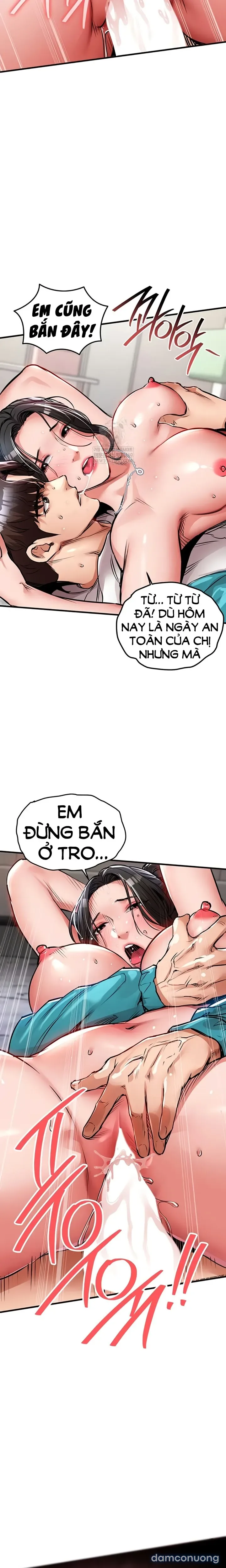 Ngày trở về huy hoàng 