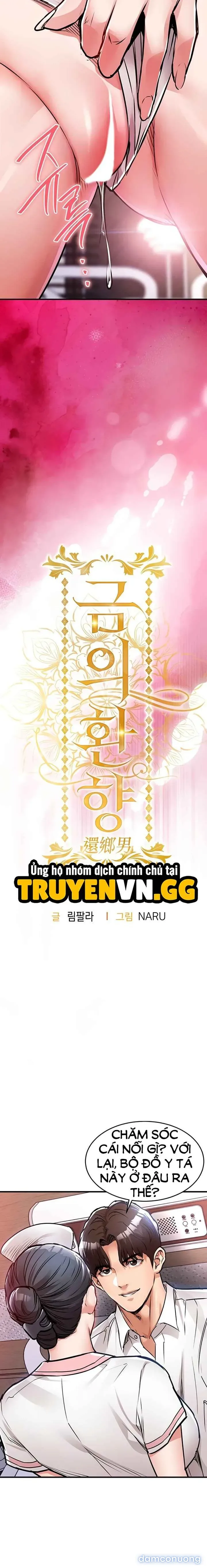 Ngày trở về huy hoàng 