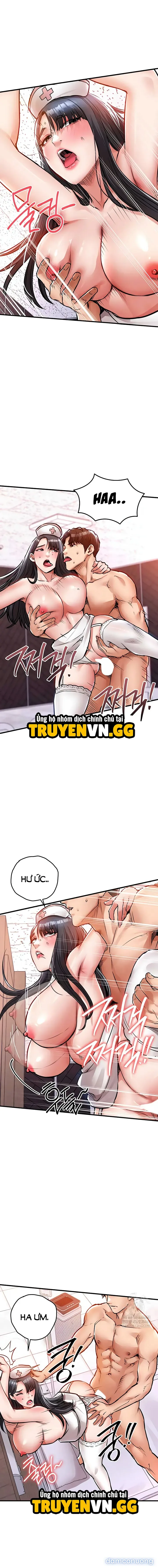 Ngày trở về huy hoàng 