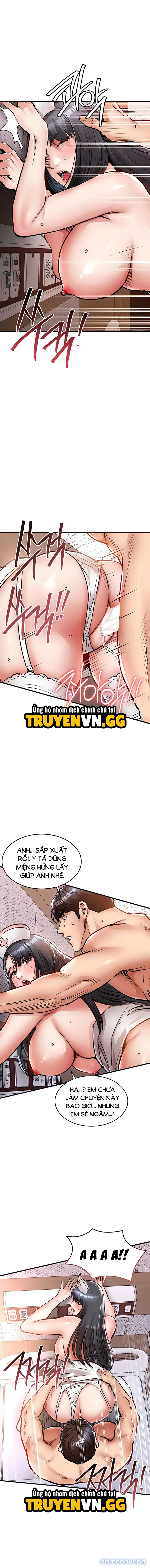 Ngày trở về huy hoàng 