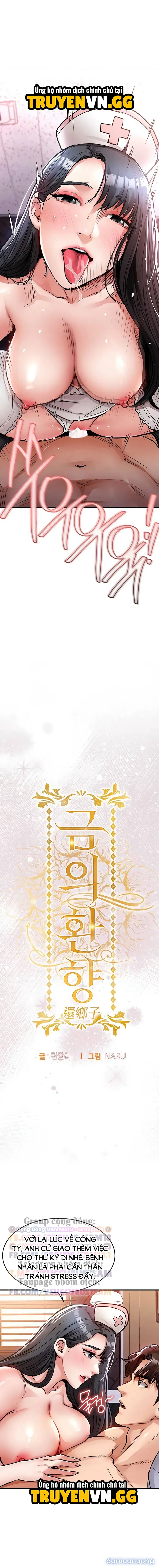 Ngày trở về huy hoàng 