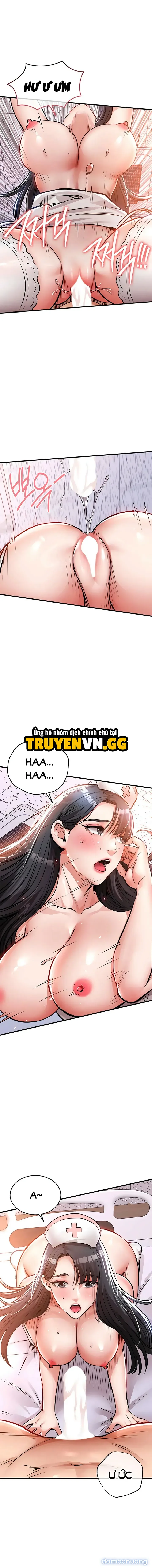 Ngày trở về huy hoàng 