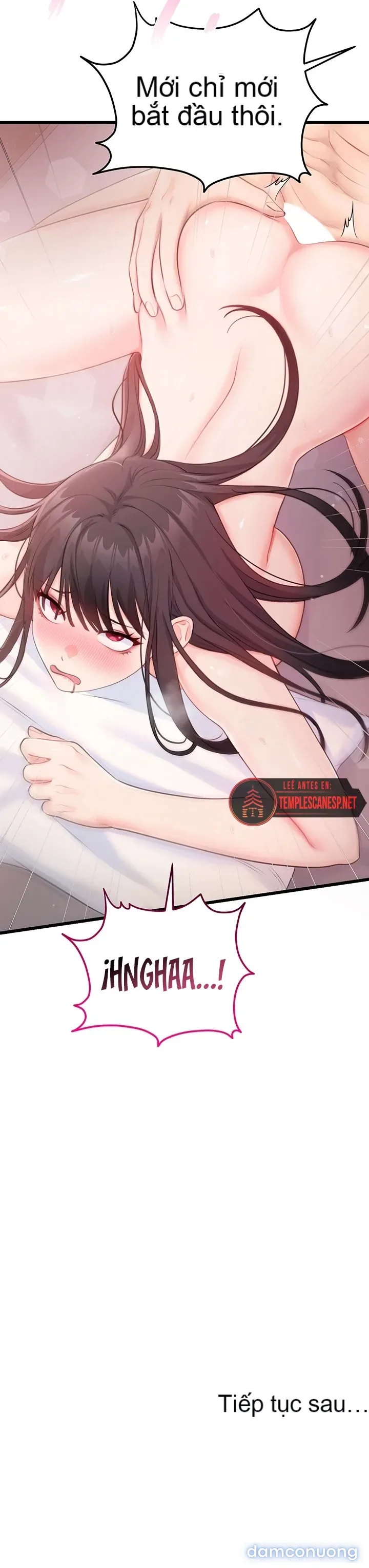 Sex Wiki, Bách khoa dục vọng 