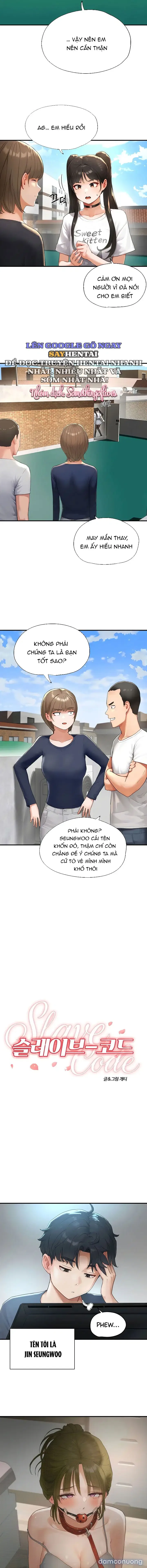 Mật Mã Nô Lệ 