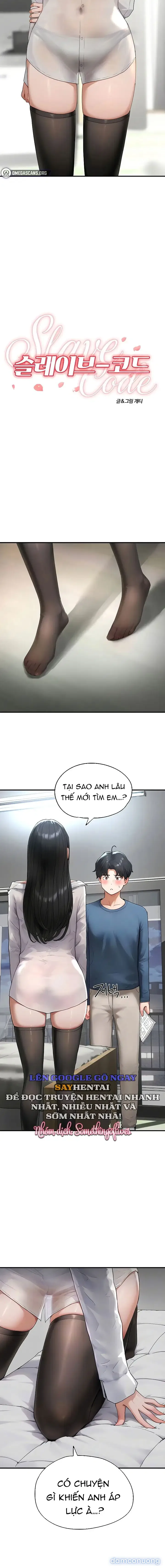 Mật Mã Nô Lệ 