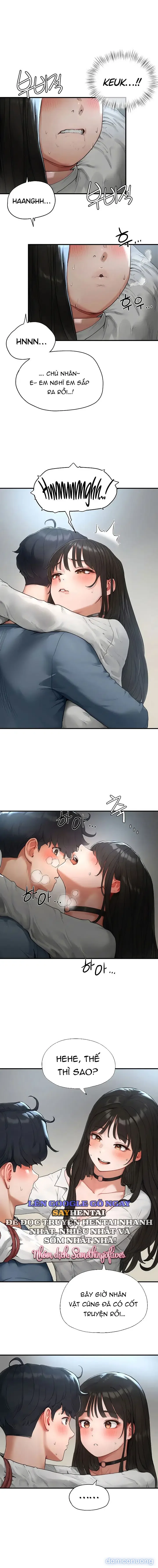 Mật Mã Nô Lệ 