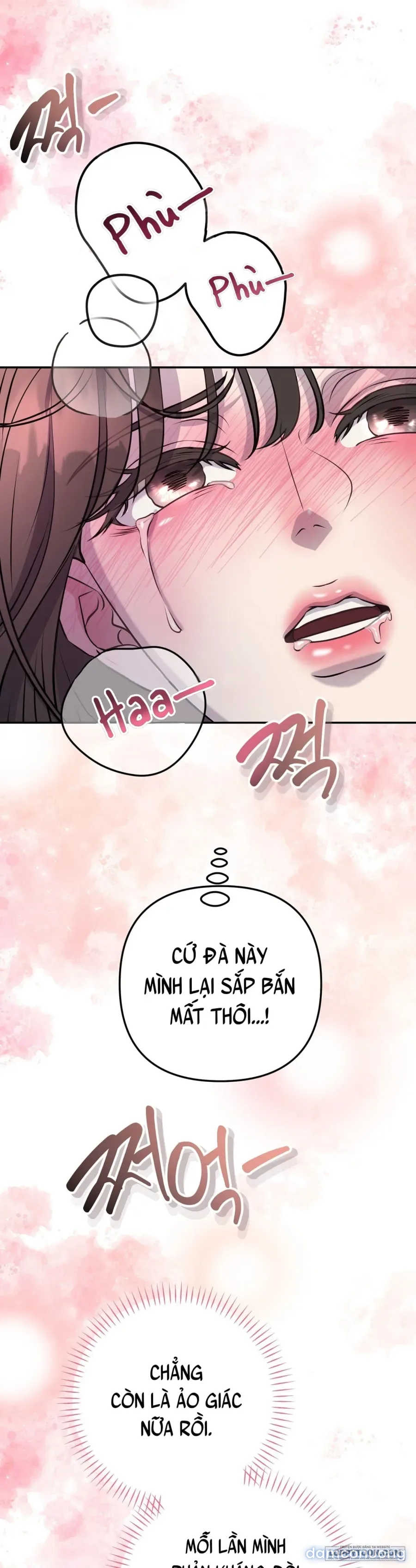 Người Chú Chó Má 