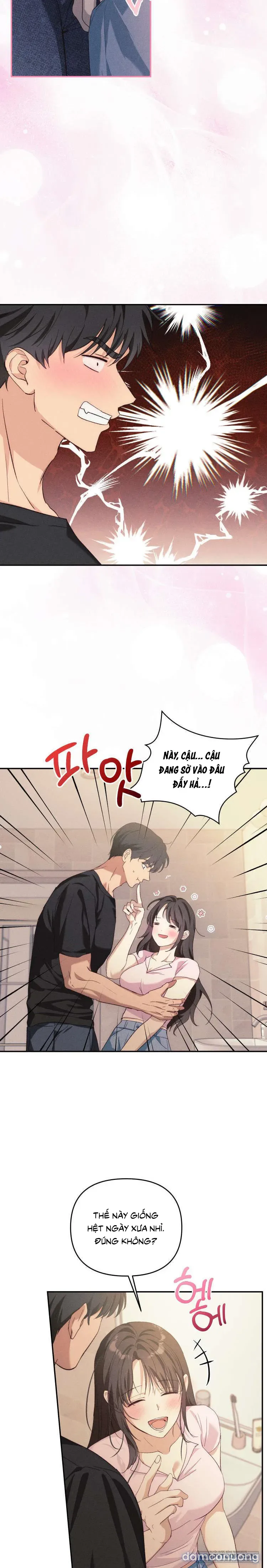 Cún Con Thuần Khiết 